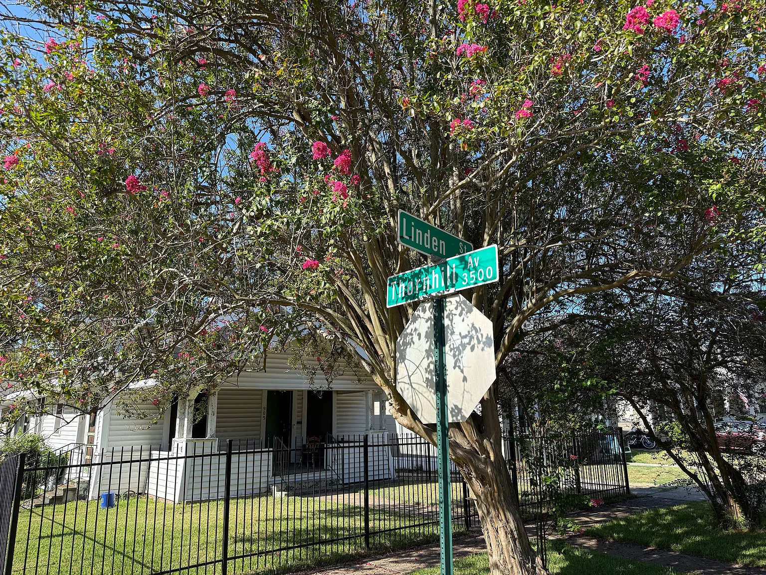 3 bed, 1750 sqft, $1,500 — Photo 3