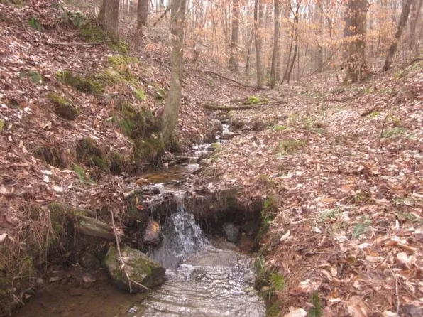 0 Jones Mountain Rd #1-2&3, Talking Rock, GA 30175