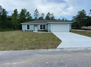 9826 N Fairy Lilly Dr, Dunnellon, FL 34433