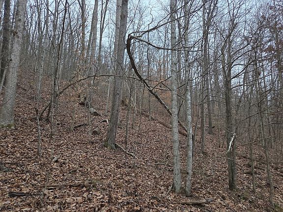 3rd image of 0 Evans Hollow Rd