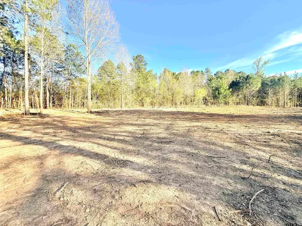 19874 Fm 345 Lot 1, Arp, TX 75750