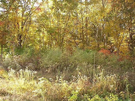 5th image of 4172 Creek Trail Dr
