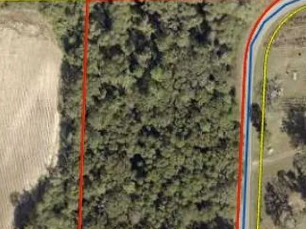 0 Dr Nelson Rd, Defuniak Springs, FL 32433