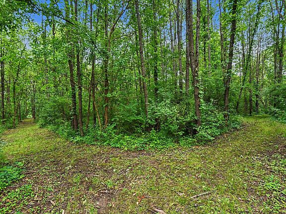 2nd image of V/l Forest Shores Drive 9