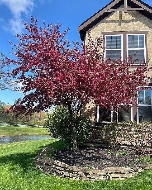 1st image of 8733 Coldwater Dr