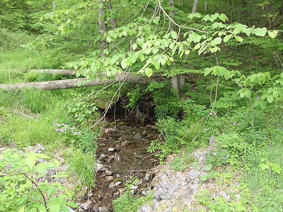 3rd image of 1825 E Fork Ln