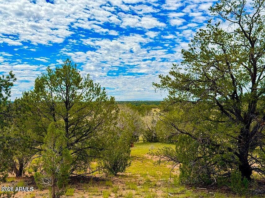 1st image of 0 Dusty Rose Ranch Lot C 12 Acre -- #-