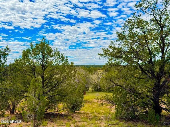 0 Dusty Rose Ranch Lot C 12 Acre -- #-, Seligman, AZ 86337