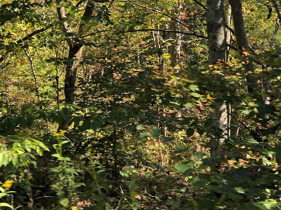 2nd image of 20 Buck Creek Cir