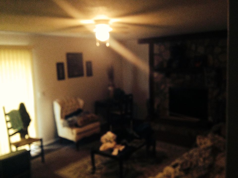 1st image of 233 Cypress St
