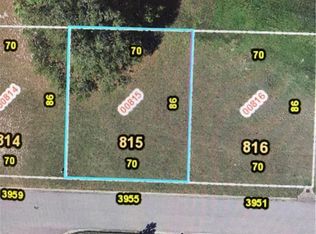 3955 Greenbluff Rd #815, Zellwood, FL 32798