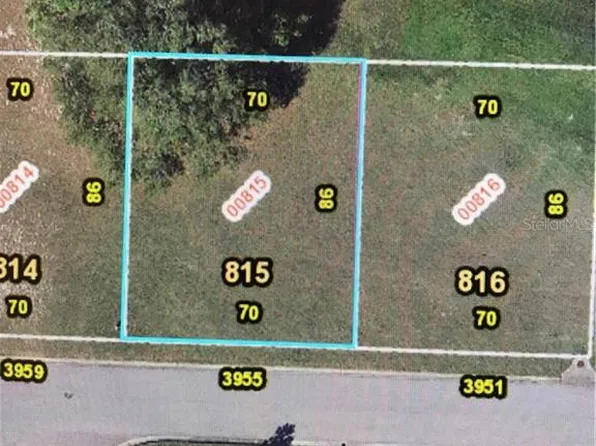 3955 Greenbluff Rd #815, Zellwood, FL 32798