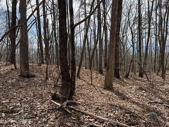 2nd image of 0 Swann Saddle Rd Lot 12