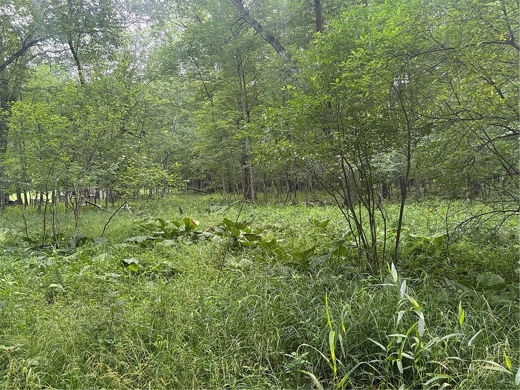 LOT 1 Stone Ln photo 1