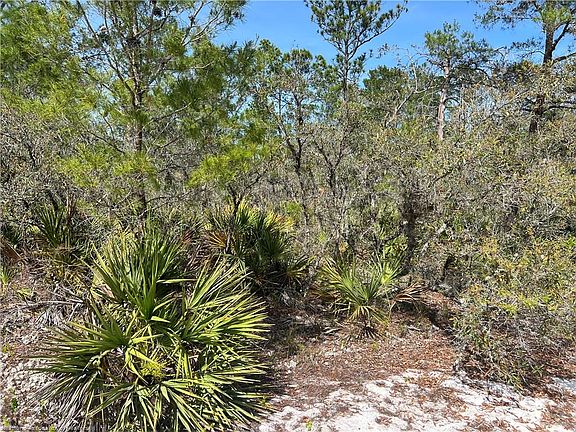 4th image of 5523 Nectarine Rd
