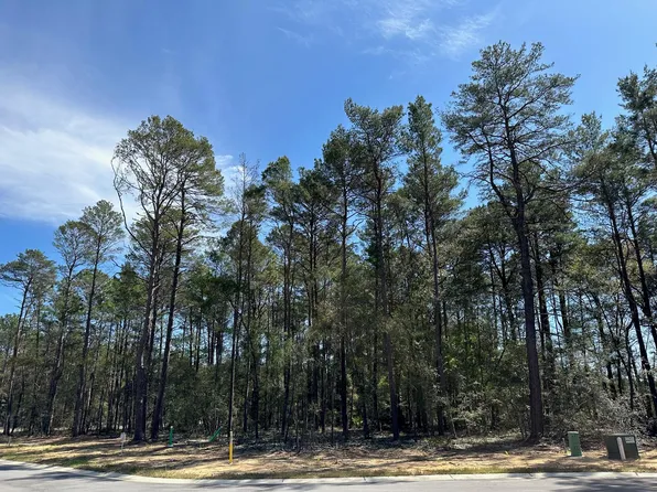 523 Caribou Ct, Niceville, FL 32578