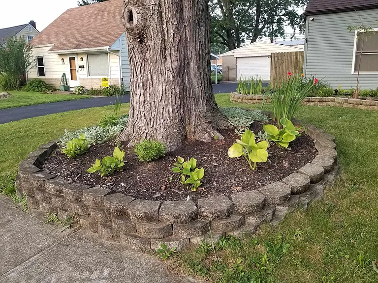 Beautiful large tree in front yard gives great shade. Leaf cleanup included in rent.