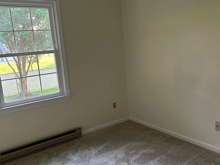 39685 Lady Baltimore Ave — Photo 11