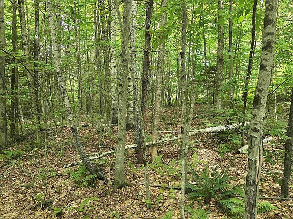 5th image of TBD Farrar Road