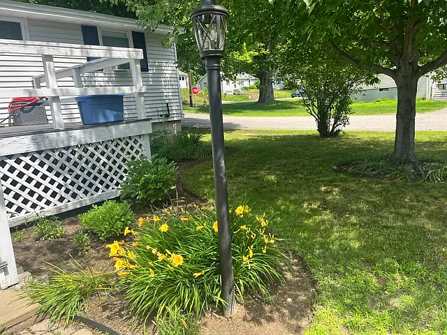 Flower beds