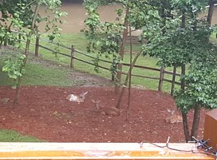 941 Centergate Dr #2, Ellijay, GA 30540