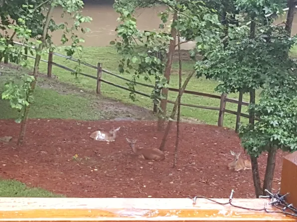 941 Centergate Dr #2, Ellijay, GA 30540