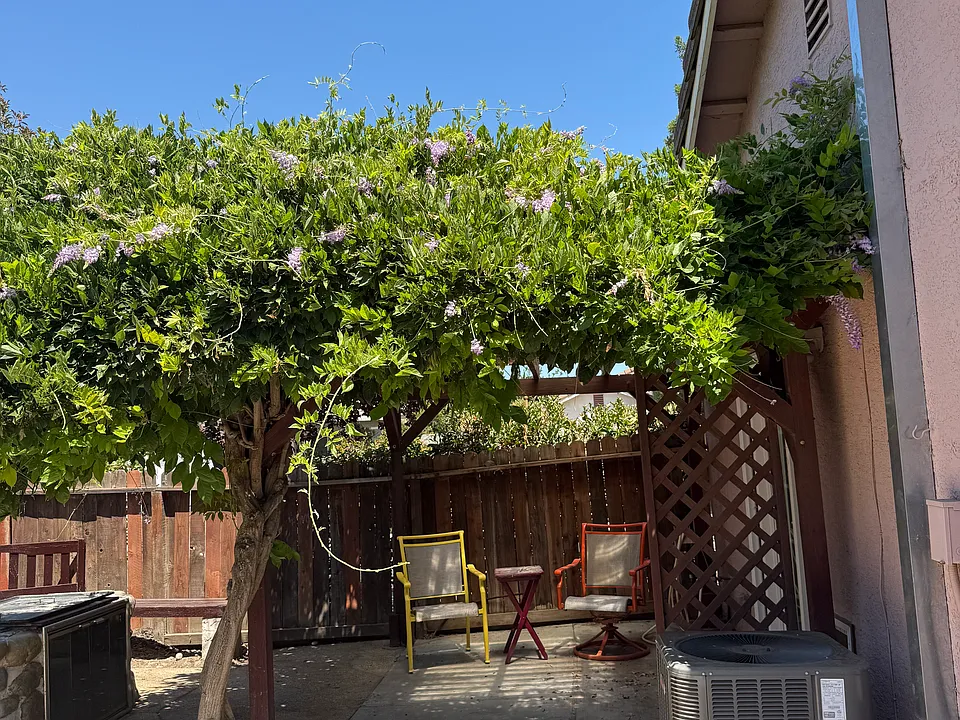 Colina Ct
