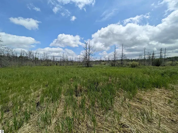 48 M, Pickford, MI 49774