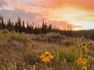 LOT Spring Creek Ranch Rd, Silverthorne, CO 80498