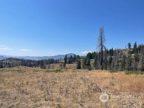 123 TBD Eighme Road, Oroville, WA 98844