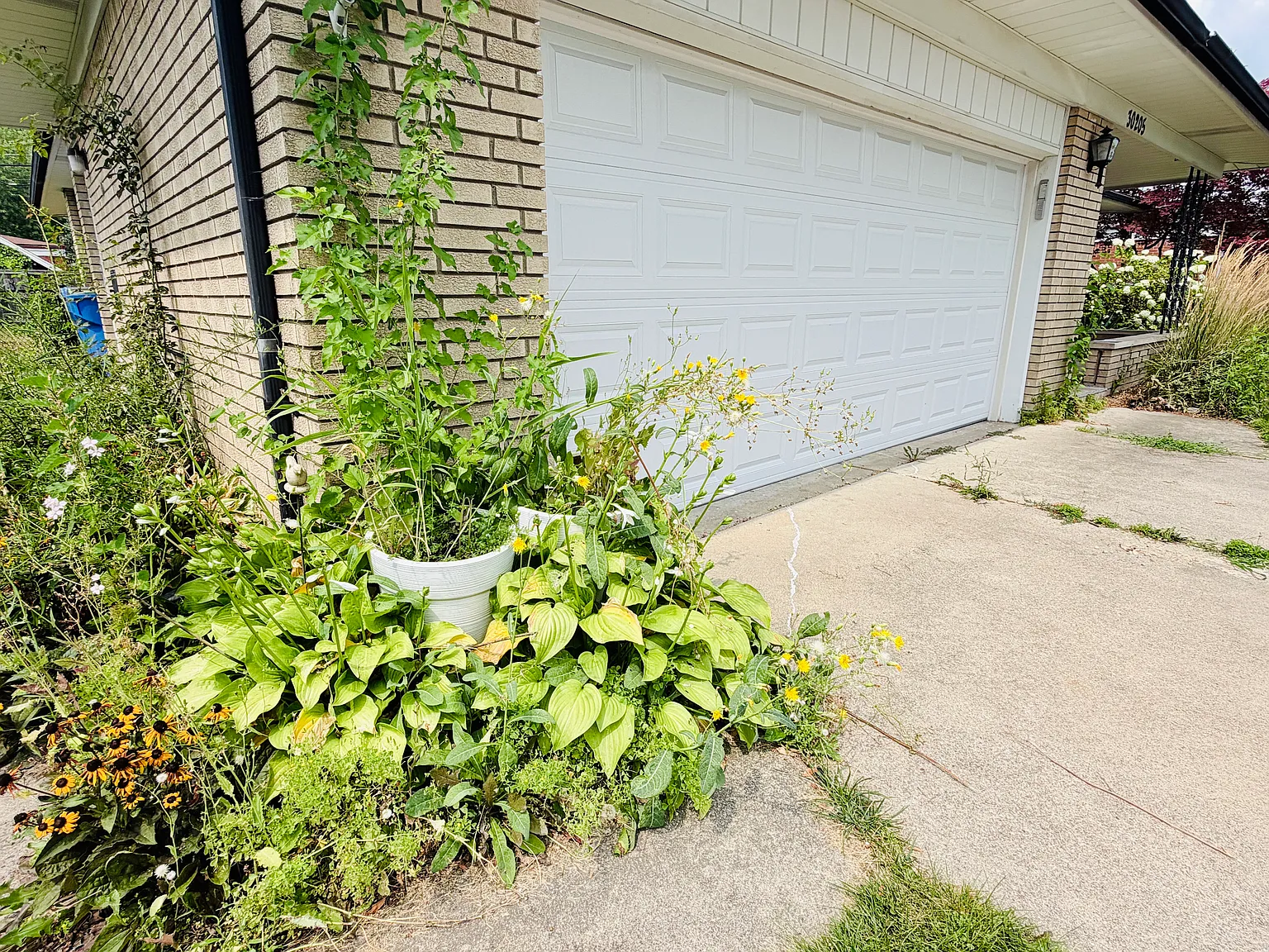 5 bed, 3000 sqft, $2,700 — Photo 2