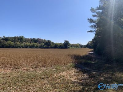 County Line Rd, Madison, AL, 35758