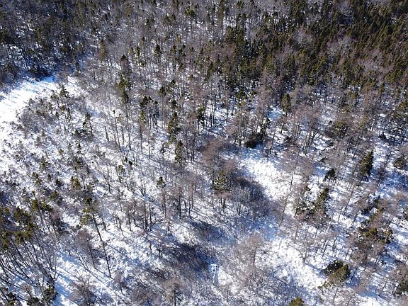 5th image of LOT Davis Cove Rd #B