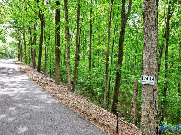 LOT 14 Mill Creek Rd, Falkville, AL 35622