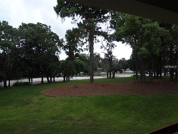 4th image of 36750 Us Highway 19 N #23-219