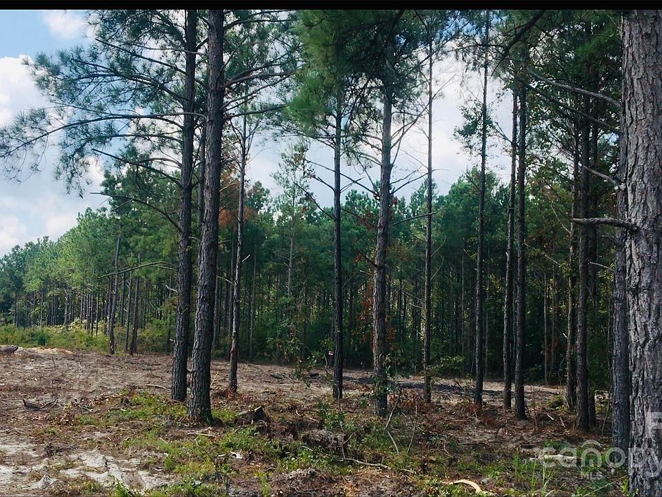 2nd image of 1561 Jones Rd