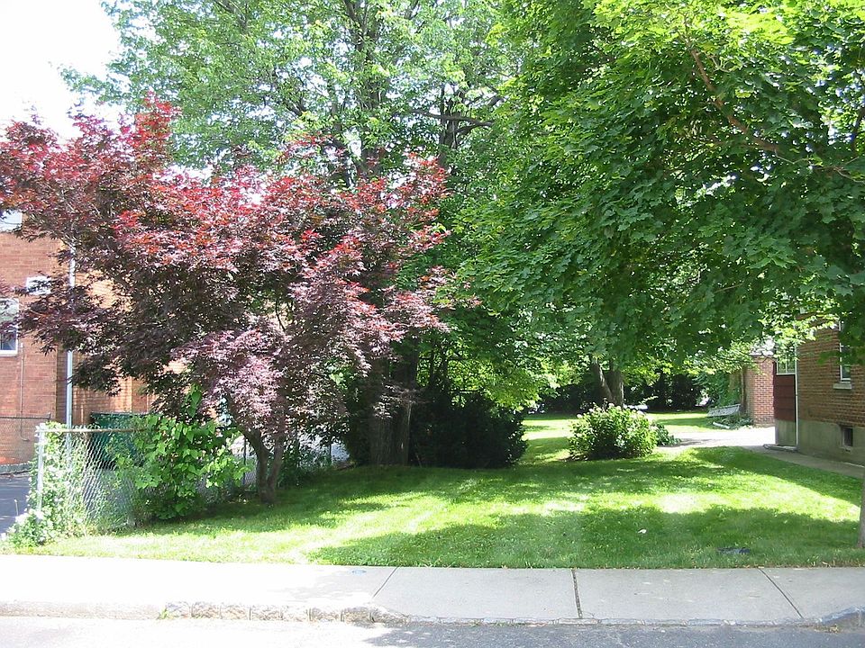 Broader view front to rear
