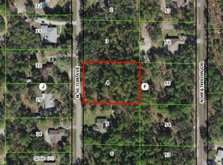 689 N Seton Ave, Lecanto, FL 34461