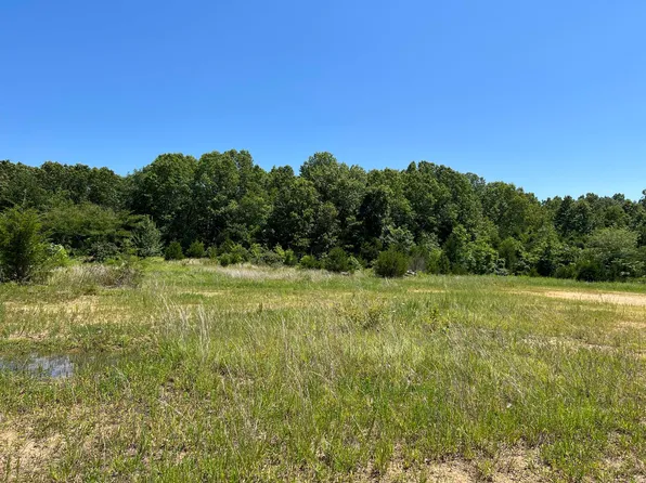 Rt1 Bx2525 State Highway W, Dora, MO 65637