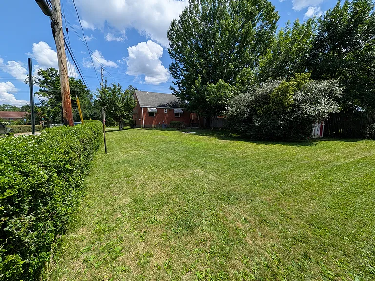 Back corner of back yard