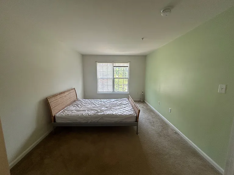 Large Bedroom - Attached Shared Bath