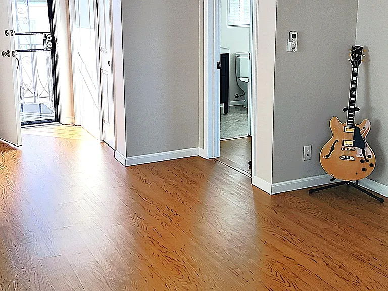 Living to entry with storage closet