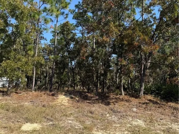7671 N Keystone Dr, Citrus Springs, FL 34433