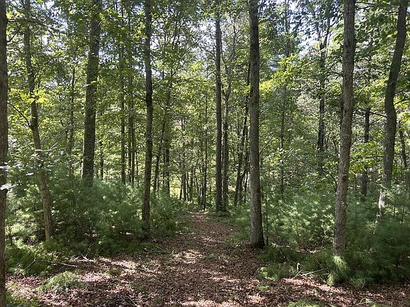 3rd image of LOT 63 Harmony Way