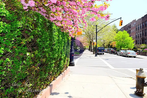 Rented by RES New York | media 17