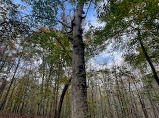 Perry Chapel Rd, Ashland, MS 38603