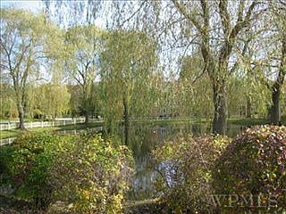 Pond
