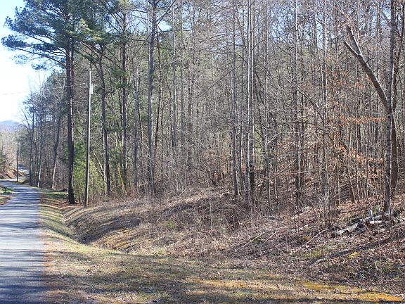 4th image of Speedwell Ln