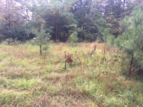 3rd image of 111 Peach Orchard Dr