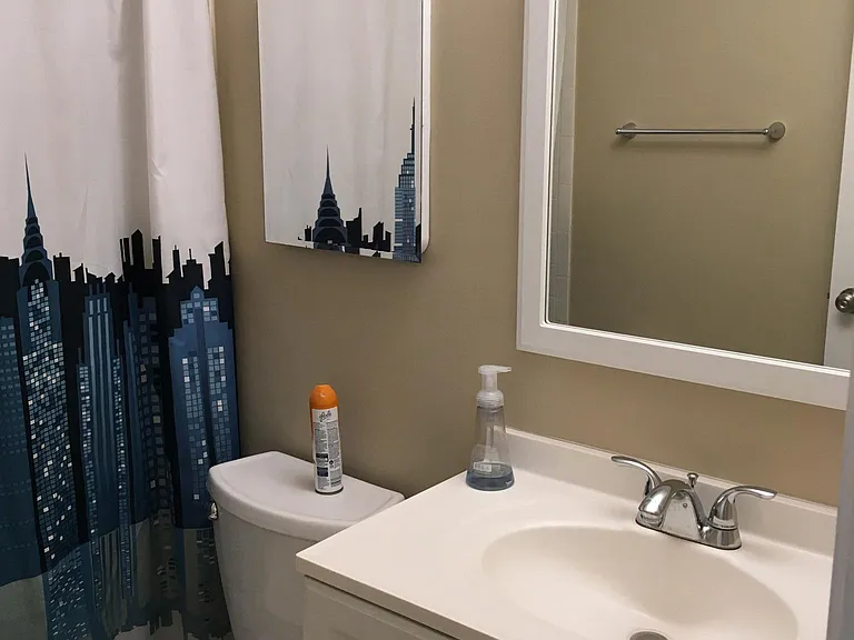 Master bathroom